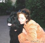 Превью фото № 97288