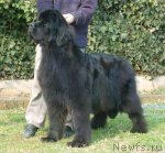 Превью фото № 97411