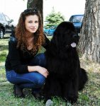 Превью фото № 97416