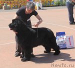 Превью фото № 97596