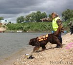 Превью фото № 97703