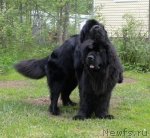 Превью фото № 97746