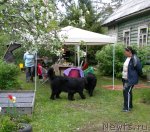 Превью фото № 97754