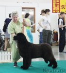 Превью фото № 97779