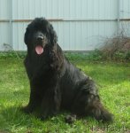 Превью фото № 98030