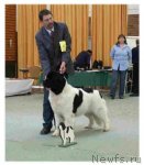 Превью фото № 98091