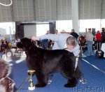 Превью фото № 98302