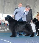 Превью фото № 98319