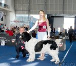 Превью фото № 98323