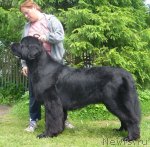 Превью фото № 98431