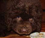 Превью фото № 9858