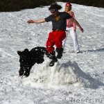 Превью фото № 98608