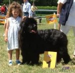 Превью фото № 98613