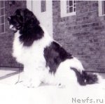 Превью фото № 98701