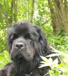 Превью фото № 98760