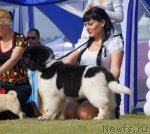 Превью фото № 99002