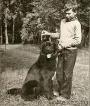 Превью фото № 994