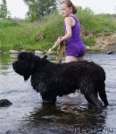 Превью фото № 99429