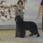 Превью фото № 99442