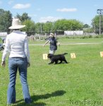 Превью фото № 99633