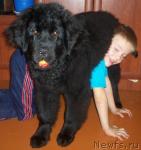 Превью фото № 9978